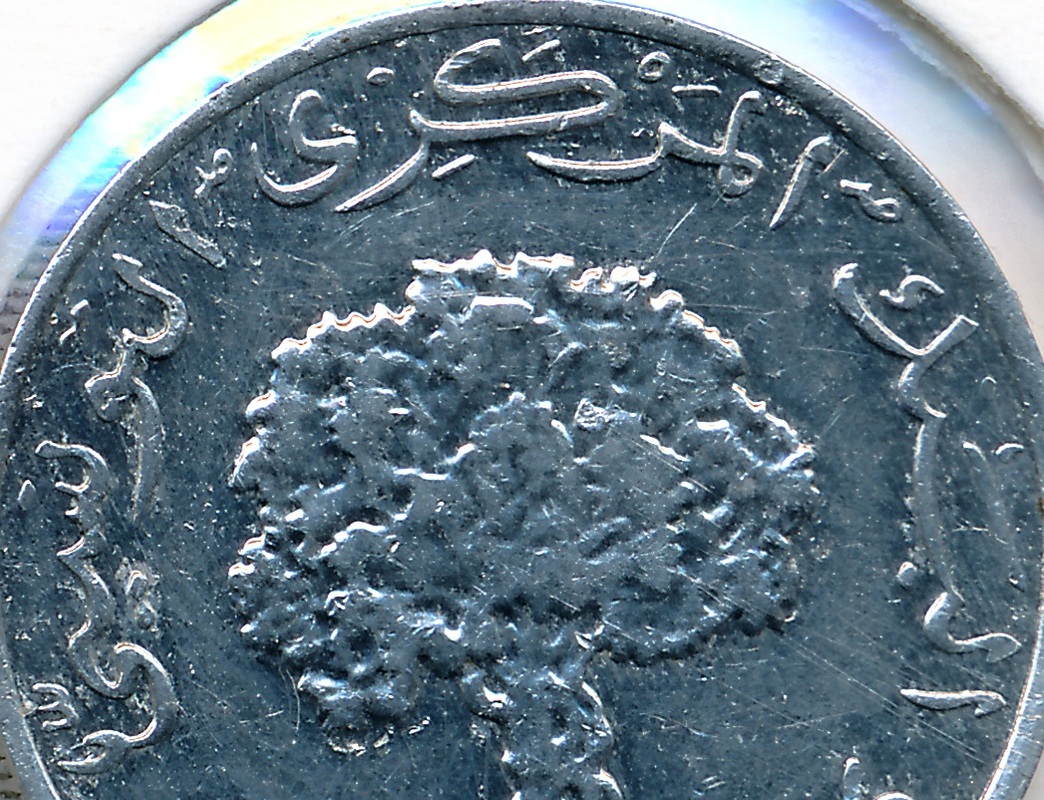 mark your coin البنك المركزي التونسي central bank of tunisia